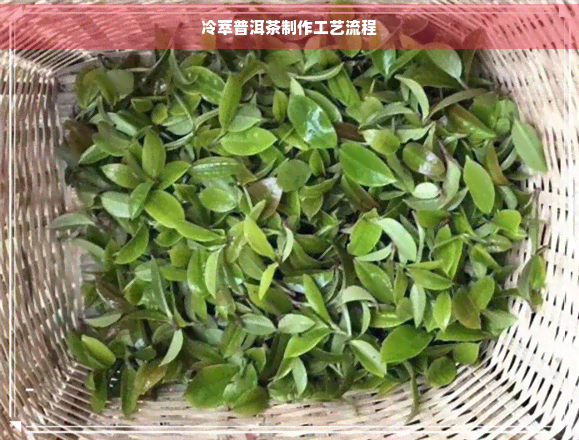 冷萃普洱茶制作工艺流程