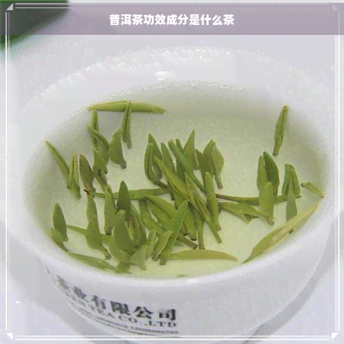 普洱茶功效成分是什么茶