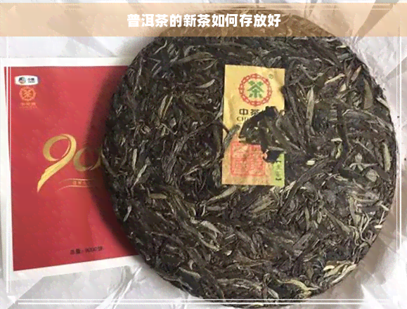 普洱茶的新茶如何存放好