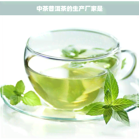 中茶普洱茶的生产厂家是