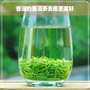 普洱的普洱茶去哪里买好