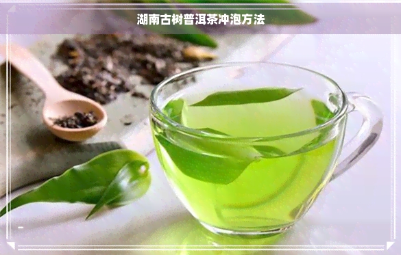 湖南古树普洱茶冲泡方法