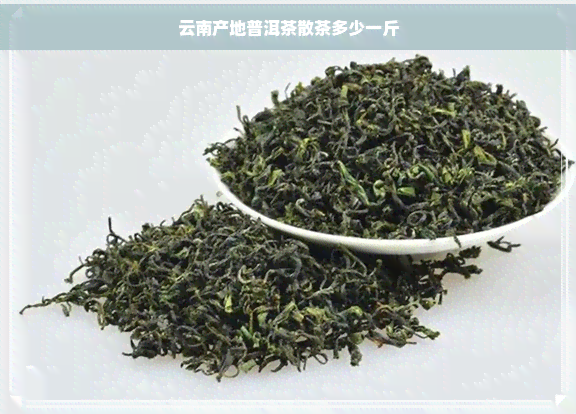 云南产地普洱茶散茶多少一斤