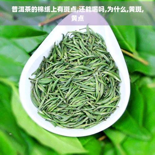 普洱茶的棉纸上有斑点,还能喝吗,为什么,黄斑,黄点