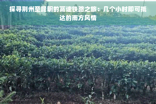 探寻荆州至昆明的高速铁路之旅：几个小时即可抵达的南方风情