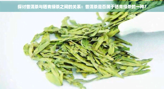 探讨普洱茶与晒青绿茶之间的关系：普洱茶是否属于晒青绿茶的一种？