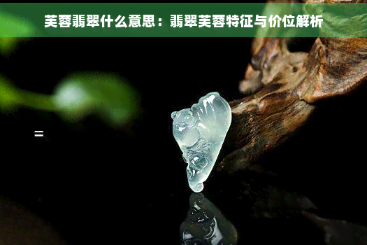 芙蓉翡翠什么意思：翡翠芙蓉特征与价位解析