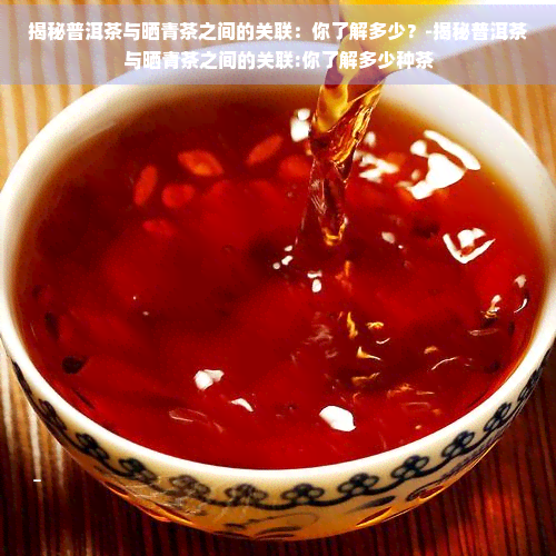 揭秘普洱茶与晒青茶之间的关联：你了解多少？-揭秘普洱茶与晒青茶之间的关联:你了解多少种茶