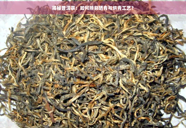 揭秘普洱茶：如何辨别晒青与烘青工艺？