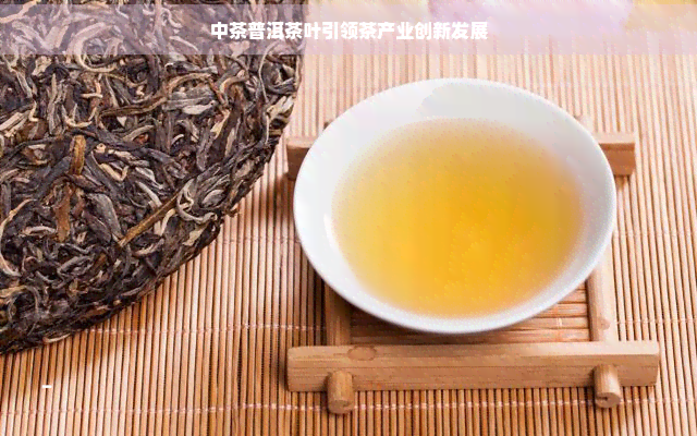 中茶普洱茶叶引领茶产业创新发展
