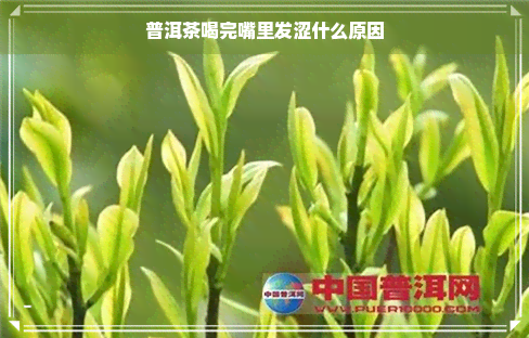 普洱茶喝完嘴里发涩什么原因